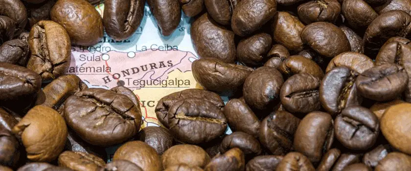 دانه های قهوه هندوراس