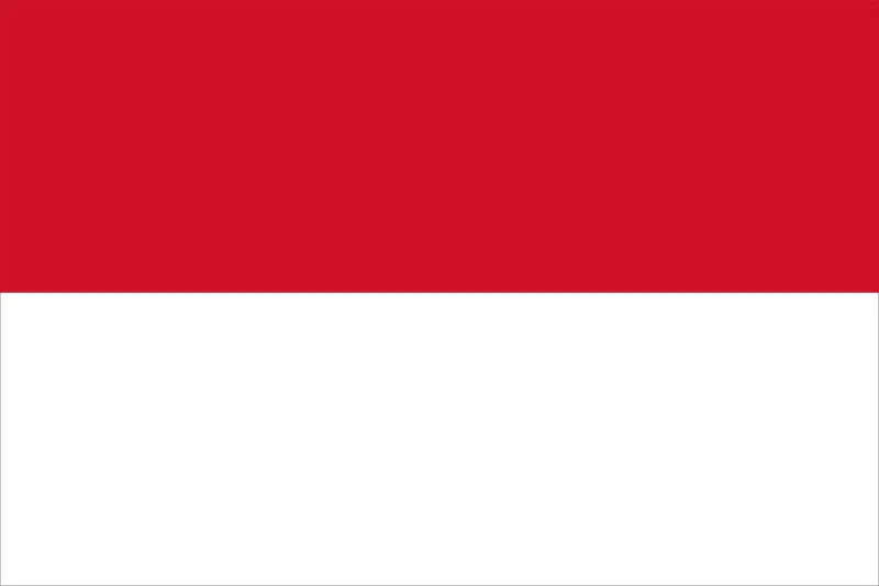 کشور اندونزی