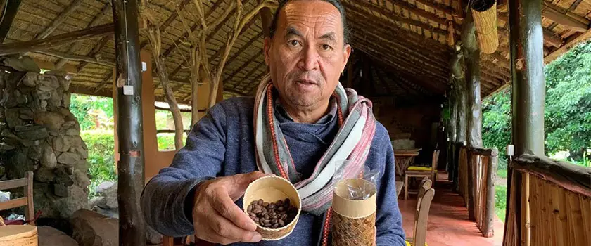 تولید قهوه ماداگاسکار امروزی
