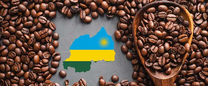 صنعت فعلی قهوه رواندا
