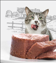 کنسرو غذای گربه رداسپرینگ با طعم مرغ Redspring Cat Chicken Pate وزن 400 گرم