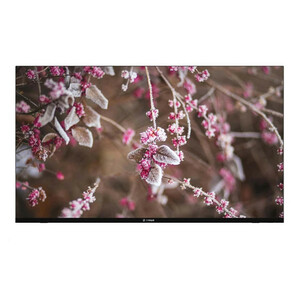 تلویزیون ال ای دی هوشمند اسنوا مدل SSD-55LS510U سایز 55 اینچ