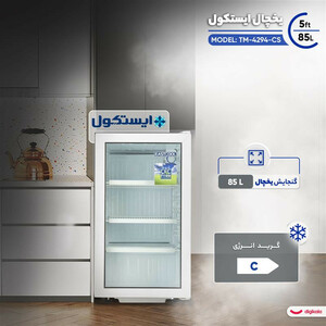 یخچال 5 فوت ایستکول مدل TM-4294-CS، با ارتفاع 80، پهنای 45 و عمق 52 سانتی متر، میزان مصرف انرژی C، دارای 4 طبقه در یخچال، دارای پایه های قابل تنظیم