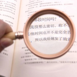 ذره بین دسته چوبی مدل ZB88060