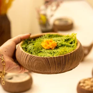 مجموعه ظروف هفت سین ۱۲ پارچه طرح چوب