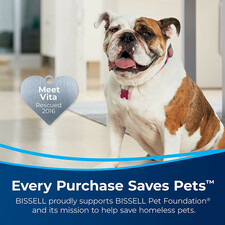 فرش شوی و مبل شوی بیسل مدل 3386E