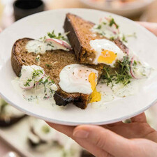 توستر بوش مدل TAT8611