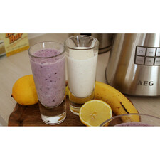 مخلوط کن آاگ مدل SB14PS