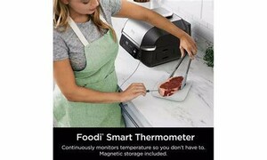 سرخکن گریل نینجا مدل eg351