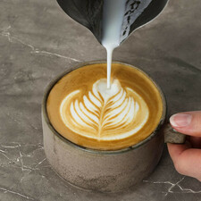 اسپرسو ساز آ ا گ مدل EC6-1-6BST