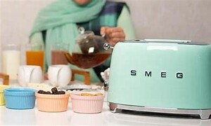 توستر اسمگ مدل TSF01