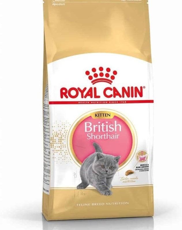 غذای گربه  British short hair kitten رویال کنین ۲کیلوگرمی