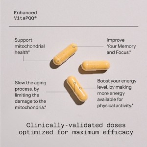 محصول گیاهی تقویت حافظه Vita PQQ