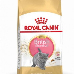 غذای گربه  British short hair kitten رویال کنین ۲کیلوگرمی