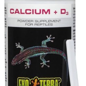 پودر کلسیم + d3 خزندگان برند اگزوترا exoterra