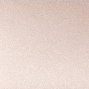 Ambient® Lighting Finishing Powder  هایلایتر پودری آمبینت اورگلس translucent