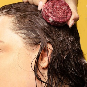 شامپو گیاهی جامد حاوی روغن آرگان برند lush ساخت کانادا