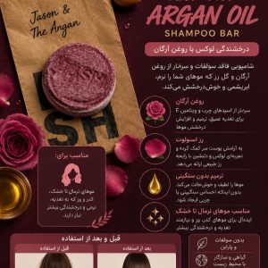 شامپو گیاهی جامد حاوی روغن آرگان برند lush ساخت کانادا