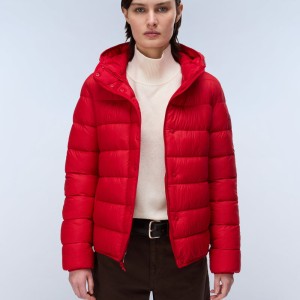 کاپشن زمستانی زنانه مدل Aerins Puffer Jacket