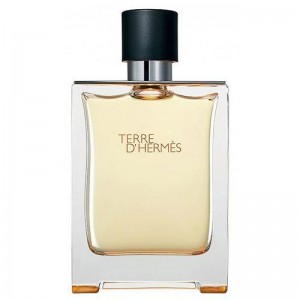 تق هرمس | HERMES - Terre d'Hermes
