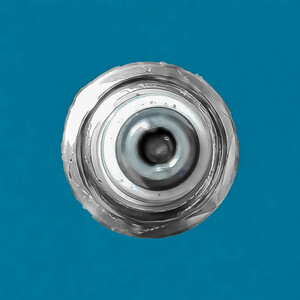 شمع خودرو بوش مدل تک پلاتین - Germany پایه کوتاه مناسب برای رنو ال ۹۰ و ساندرو بسته ۴ عددی