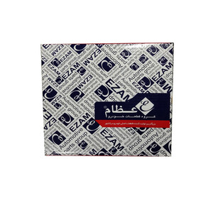 دیسک ترمز چرخ جلو عظام مدل EZ012 مناسب برای تیبا بسته 2 عددی