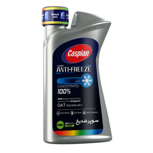 ضدیخ و ضدجوش 100 درصد خالص کاسپین مدل Four Seasons حجم 0.9 لیتر