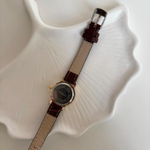 ساعت مچی بند چرمی دامونا