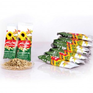 مغز تخمه آفتاب گردان