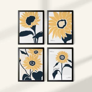 Soleil Solo Plus