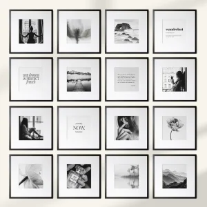Black &amp; White curated