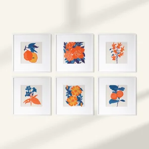 Citrus Harmony
