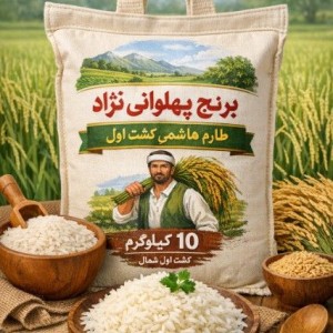 برنج طارم هاشمی کشت اول