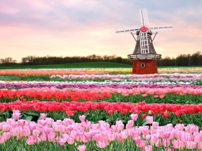 فروش قطره چکان آبیاری قطره ای در گچساران