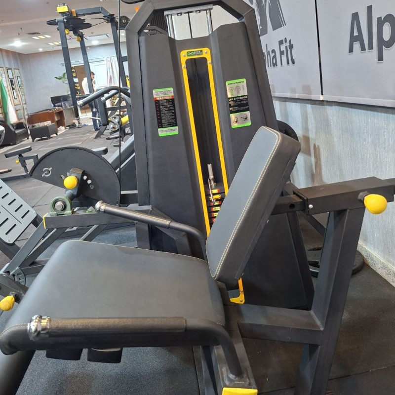 جلو پا DHZ طرح ایوست