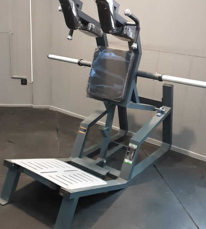 هاگ اسکات ایستاده DHZ طرح ایوست