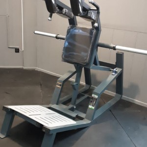 هاگ اسکات ایستاده DHZ طرح ایوست