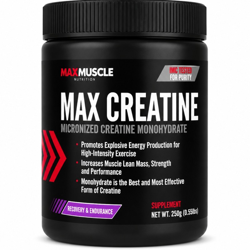 پودر کراتین مونوهیدرات مکس ماسل ۲۵۰ گرم Max Muscle Max Creatine Micronized Creatine Monohydrate 250 g