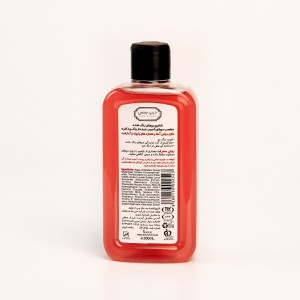 شامپو محافظت‌کننده رنگ مو دیپ سنس با روغن آمله – مخصوص موهای رنگ‌شده و آسیب‌دیده