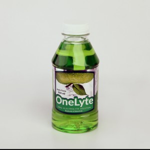 محلول الکترولیت خوراکی OneLyte طعم سیب – ۵۰۰ میلی‌لیتر (جبران سریع آب و املاح)