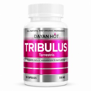کپسول تریبولوس دایان هات ۵۱۰ میلی‌گرم ۹۰ عددی Dayan Hot Tribulus Terrestris 510 mg 90 Capsules