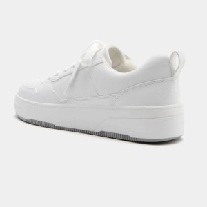 کتانی پول اند بیر