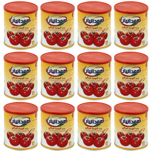 رب گوجه فرنگی همدانیان - 800 گرم بسته 12 عددی