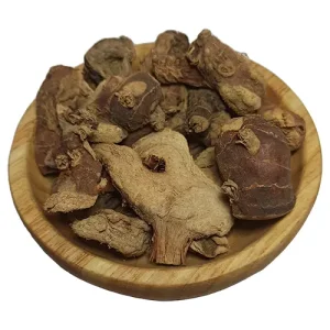 ریشه جوز قلم هندی