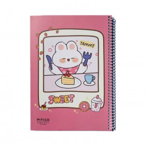 دفتر ۶۰ برگ فنری پیتیکو کد 399