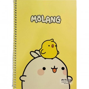 دفتر ۲خط فنری پیتیکو کد ۳۱۷