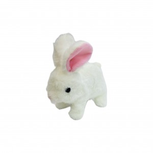 خرگوش پولیشی