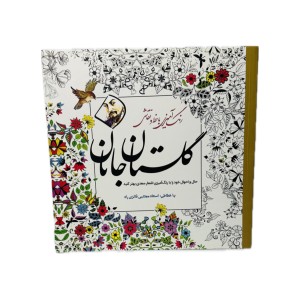 رنگ آمیزی بزرگسالان