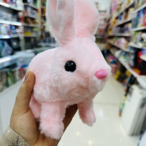 خرگوش موزیکال
