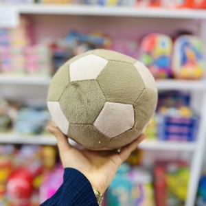 توپ پارچه ای آپارتمانی